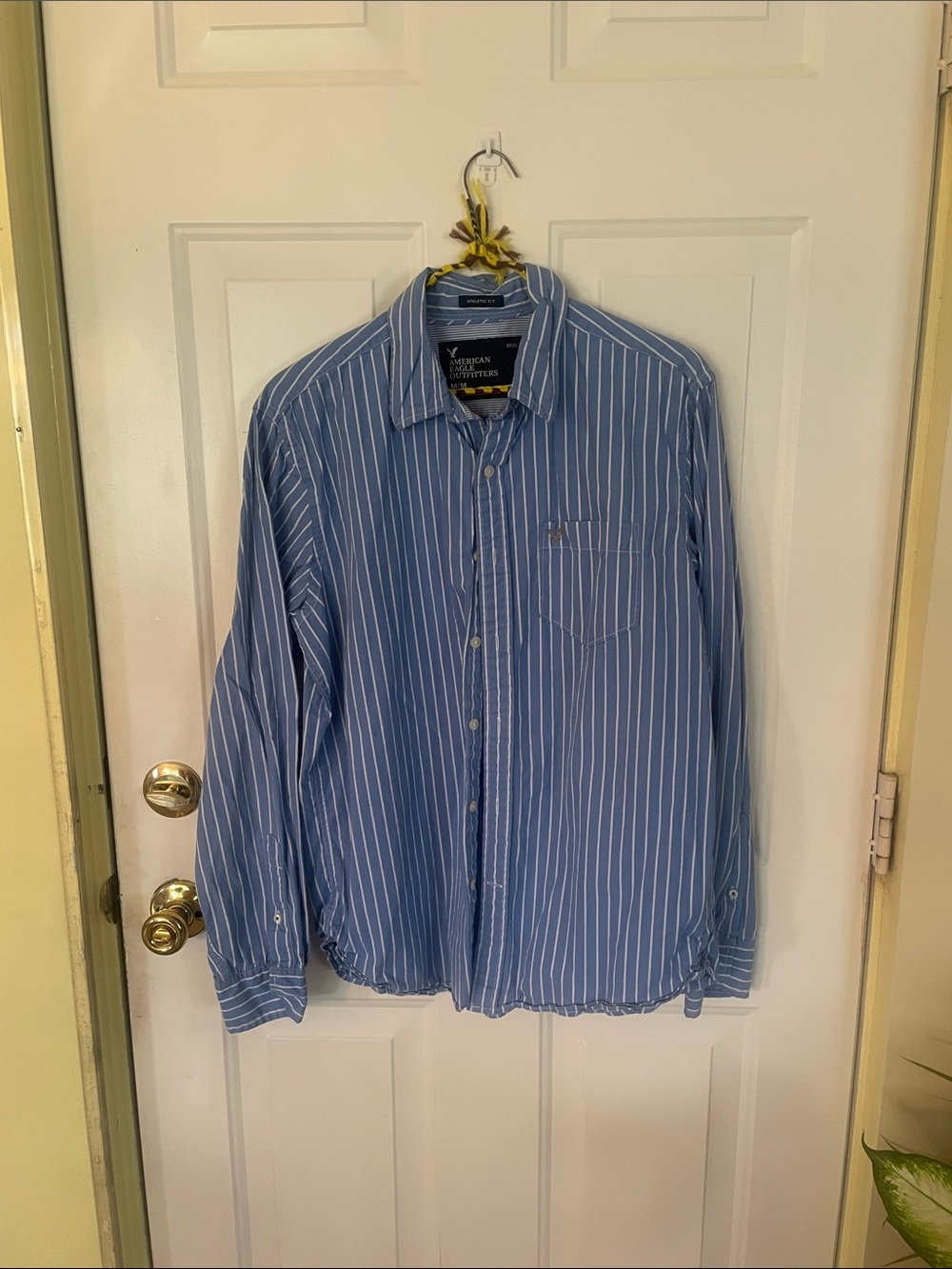 American Eagle Outfitters Blue and White Stripe Button-Down Shirt